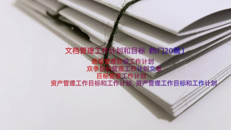 文档管理工作计划和目标（热门20篇）