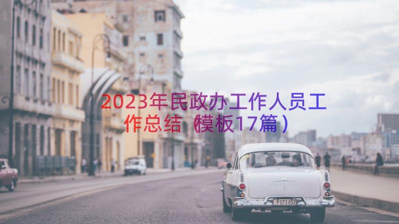 2023年民政办工作人员工作总结（模板17篇）