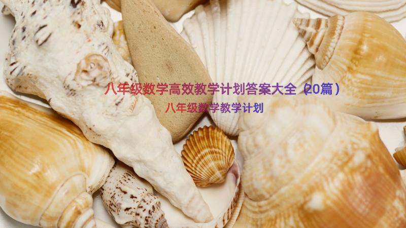 八年级数学高效教学计划答案大全（20篇）