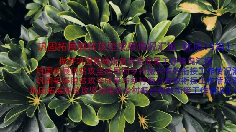 巩固拓展脱贫攻坚成果情况汇报（优质15篇）