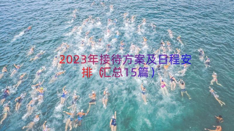 2023年接待方案及日程安排（汇总15篇）