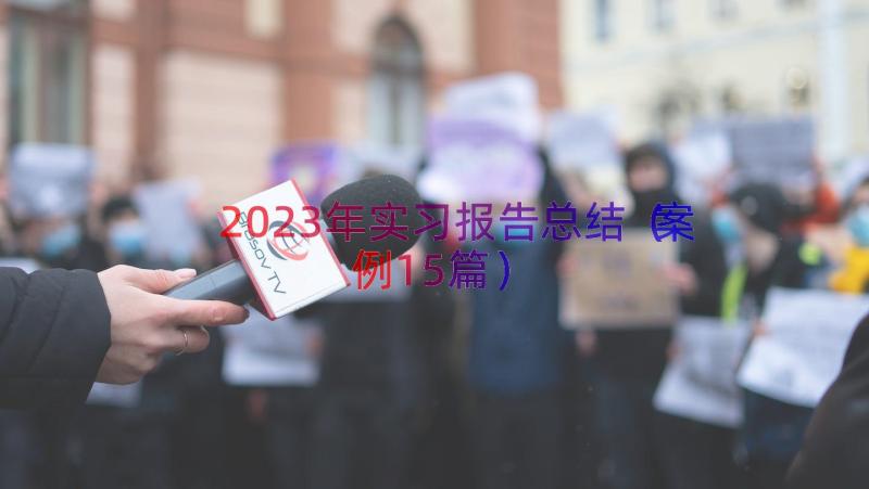 2023年实习报告总结（案例15篇）