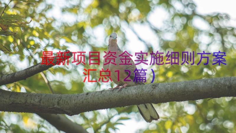 最新项目资金实施细则方案（汇总12篇）