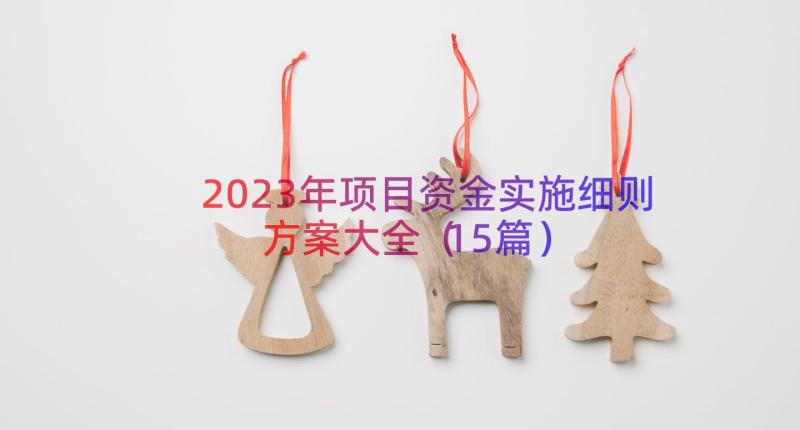 2023年项目资金实施细则方案大全