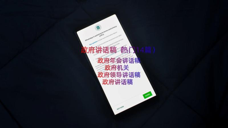 政府讲话稿（热门14篇）