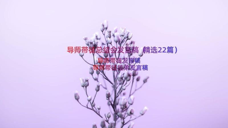 导师带徒总结会发言稿（精选22篇）