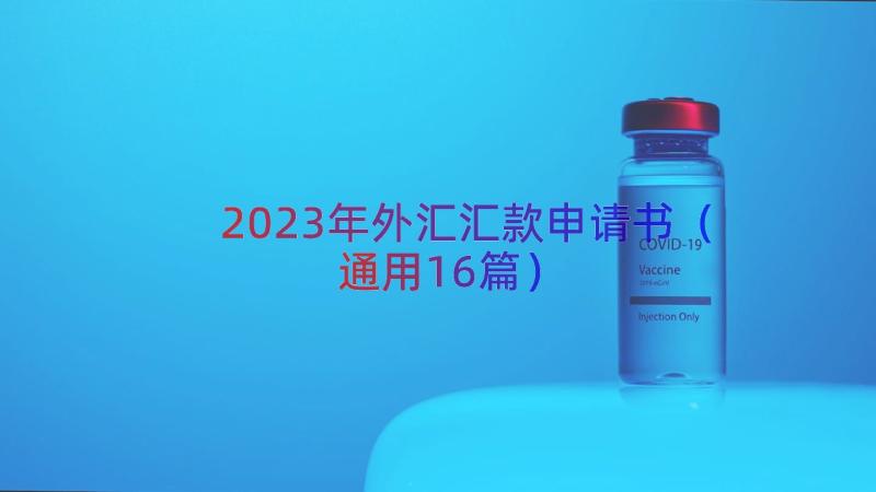 2023年外汇汇款申请书（通用16篇）