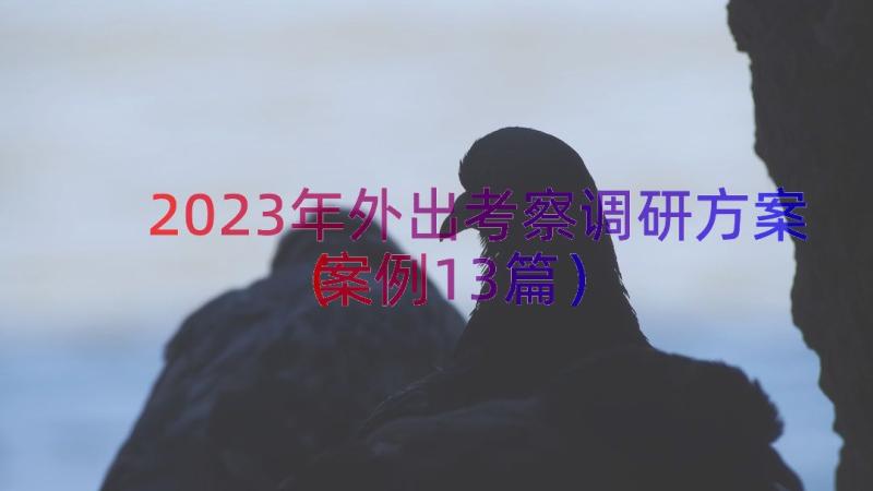 2023年外出考察调研方案（案例13篇）