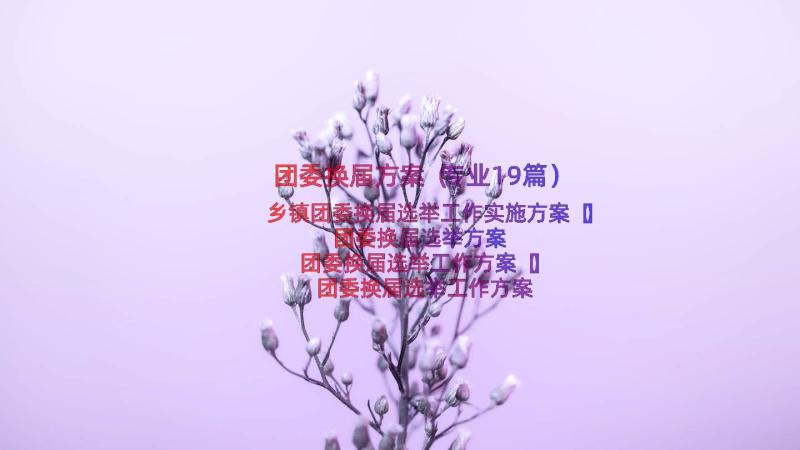 团委换届方案（专业19篇）