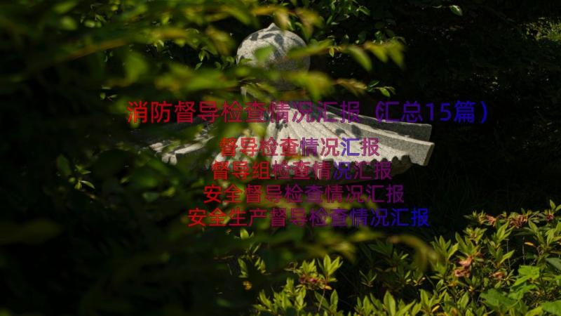 消防督导检查情况汇报（汇总15篇）