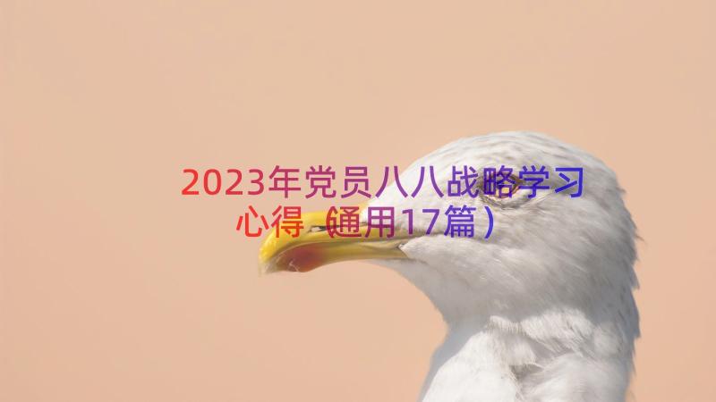 2023年党员八八战略学习心得（通用17篇）