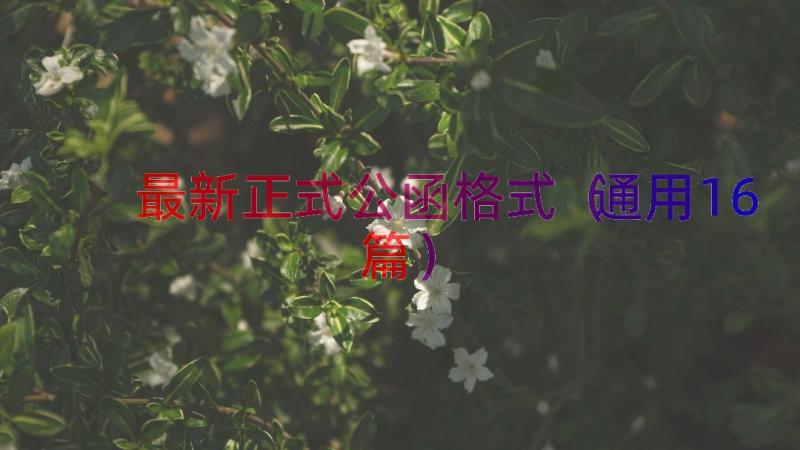 最新正式公函格式（通用16篇）