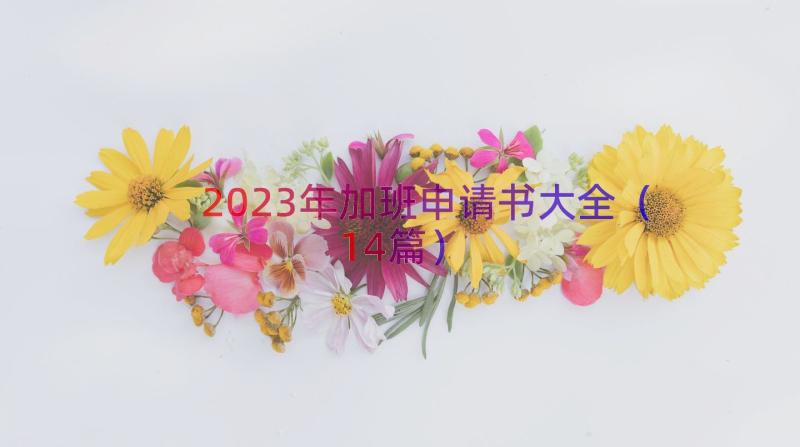 2023年加班申请书大全（14篇）