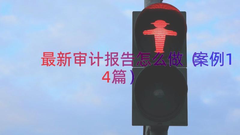 最新审计报告怎么做（案例14篇）