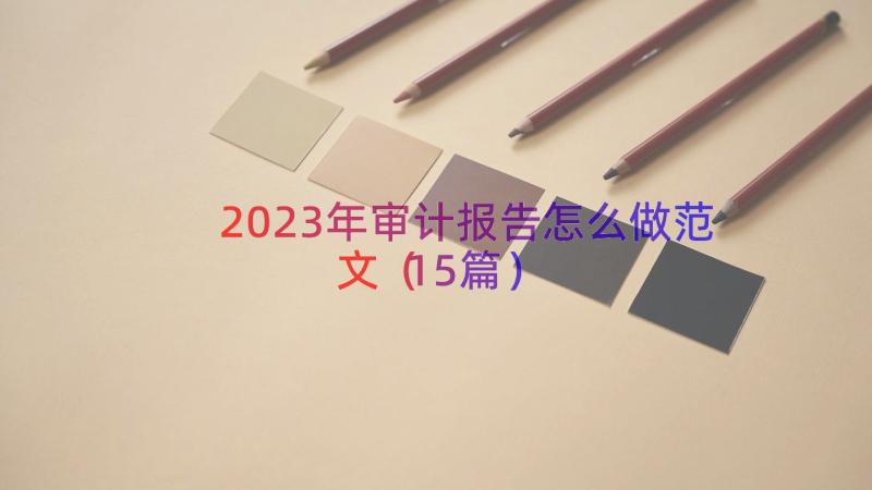 2023年审计报告怎么做范文（15篇）