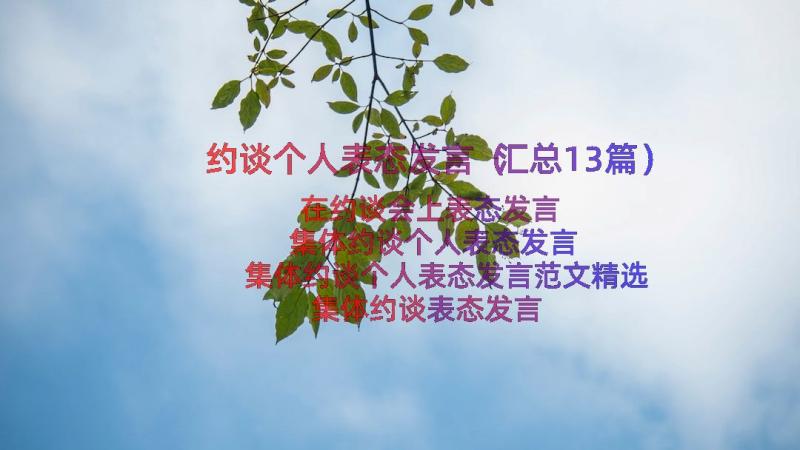 约谈个人表态发言（汇总13篇）