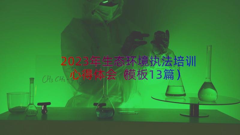 2023年生态环境执法培训心得体会（模板13篇）