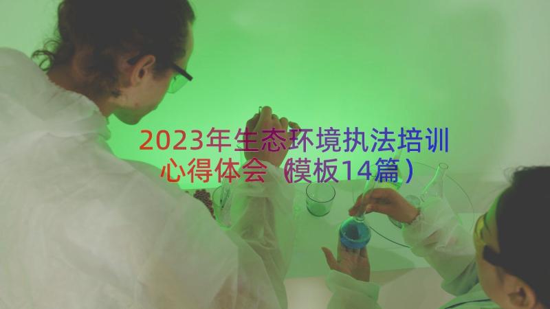 2023年生态环境执法培训心得体会（模板14篇）