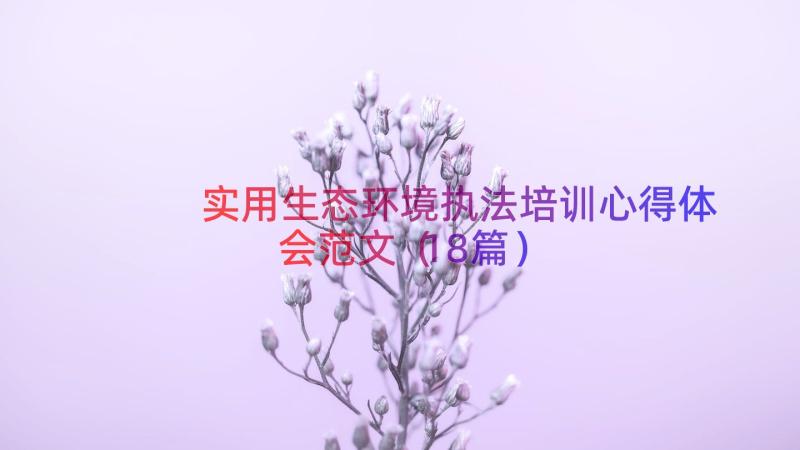 实用生态环境执法培训心得体会范文（18篇）