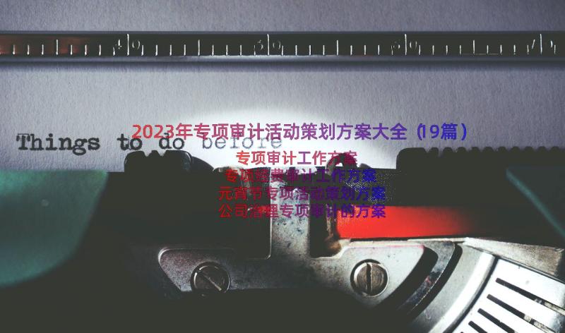 2023年专项审计活动策划方案大全（19篇）