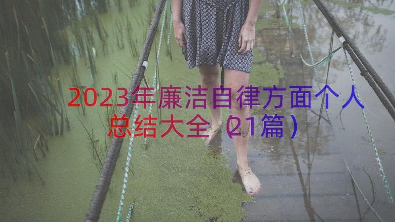 2023年廉洁自律方面个人总结大全（21篇）