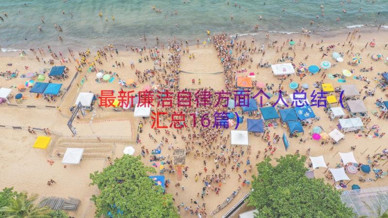 最新廉洁自律方面个人总结（汇总16篇）