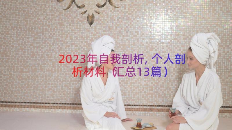 2023年自我剖析,个人剖析材料（汇总13篇）