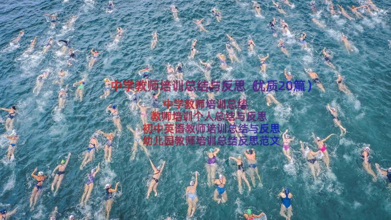 中学教师培训总结与反思（优质20篇）