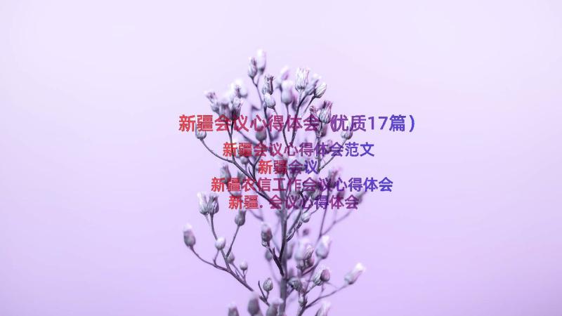 新疆会议心得体会（优质17篇）