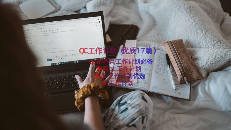 QC工作计划（优质17篇）