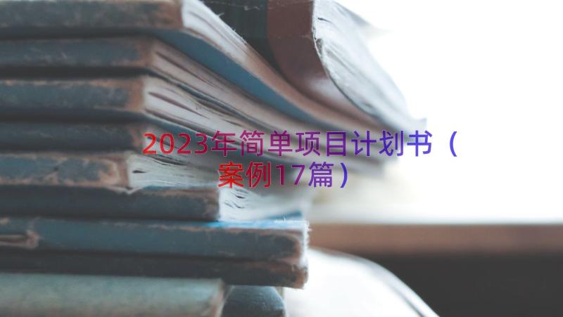 2023年简单项目计划书案例