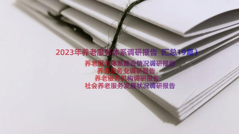 2023年养老服务体系调研报告（汇总19篇）