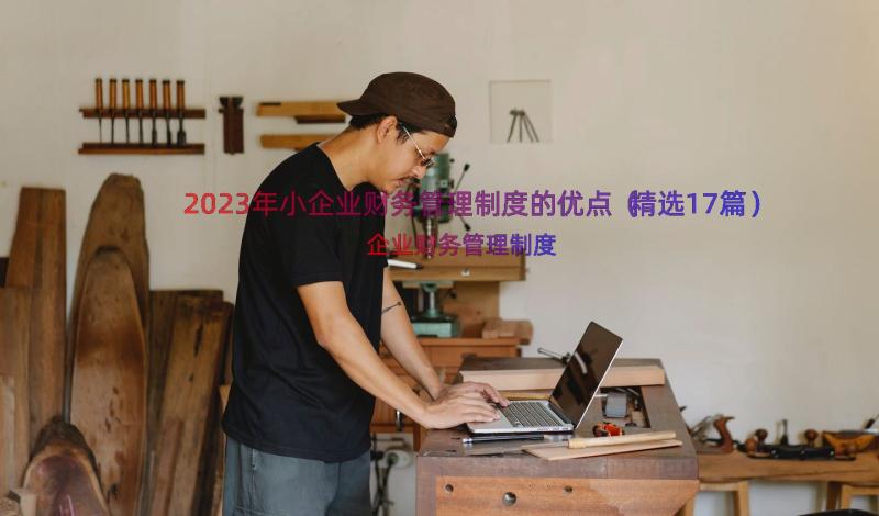 2023年小企业财务管理制度的优点（精选17篇）