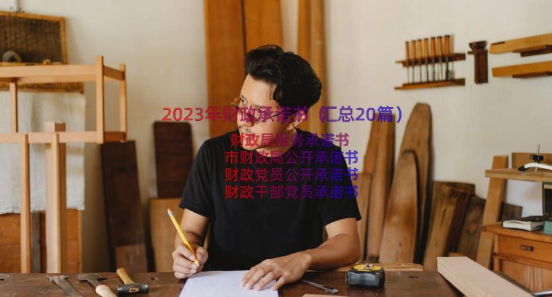 2023年财政承诺书（汇总20篇）