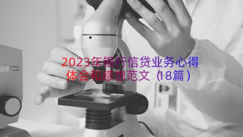 2023年银行信贷业务心得体会和感想范文（18篇）