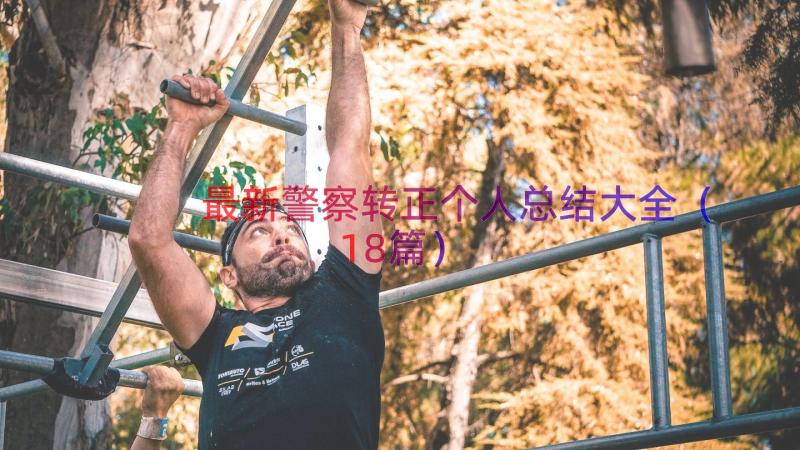 最新警察转正个人总结大全（18篇）