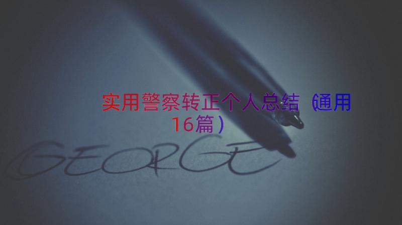 实用警察转正个人总结（通用16篇）