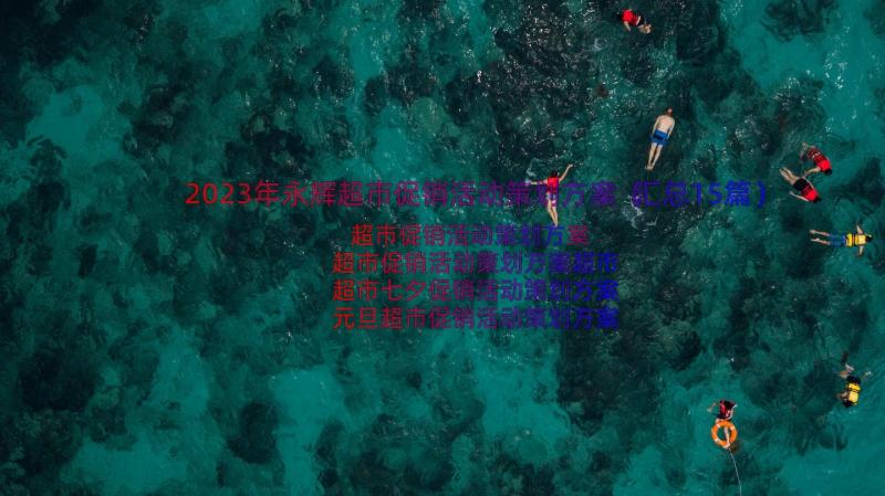 2023年永辉超市促销活动策划方案（汇总15篇）