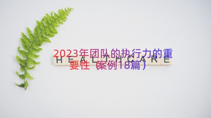 2023年团队的执行力的重要性案例