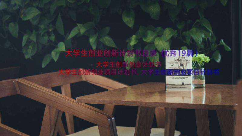 大学生创业创新计划书目录（优秀19篇）