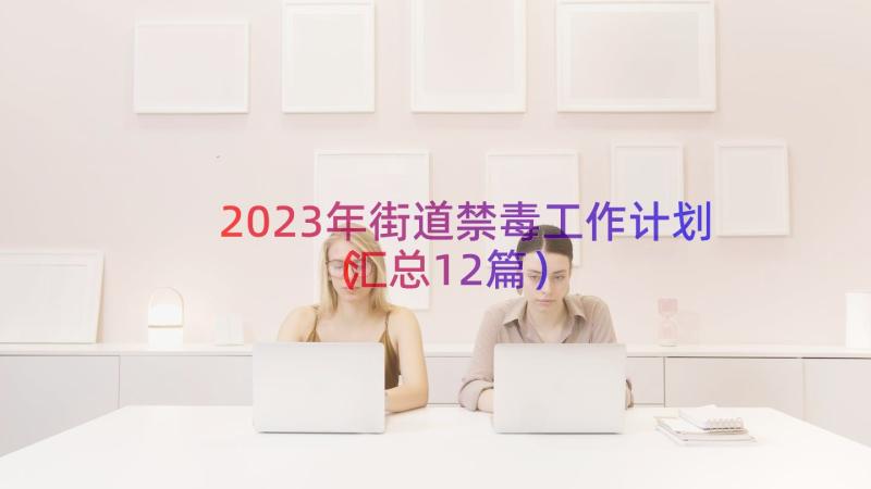 2023年街道禁毒工作计划（汇总12篇）