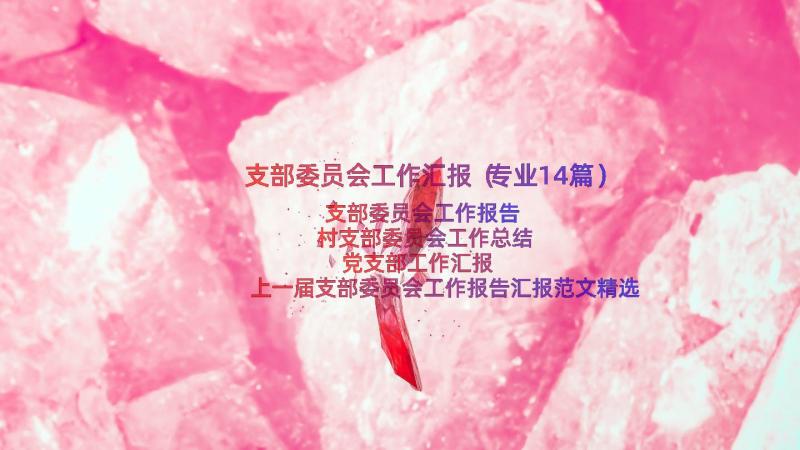 支部委员会工作汇报（专业14篇）