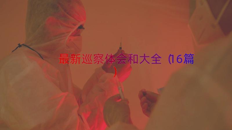 最新巡察体会和大全（16篇）