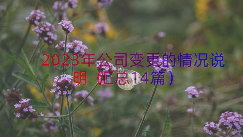 2023年公司变更的情况说明（汇总14篇）