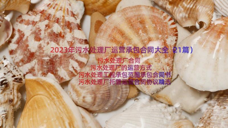 2023年污水处理厂运营承包合同大全（21篇）