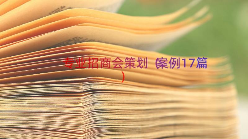 专业招商会策划（案例17篇）