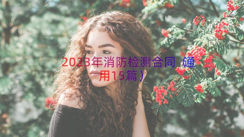 2023年消防检测合同（通用15篇）