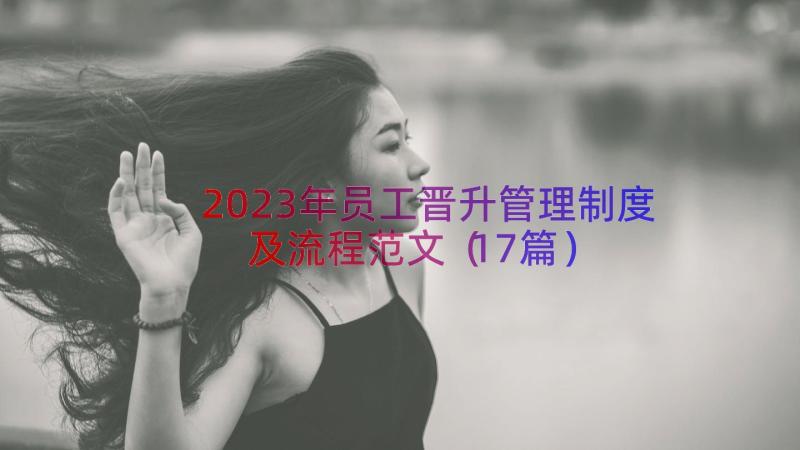 2023年员工晋升管理制度及流程范文（17篇）