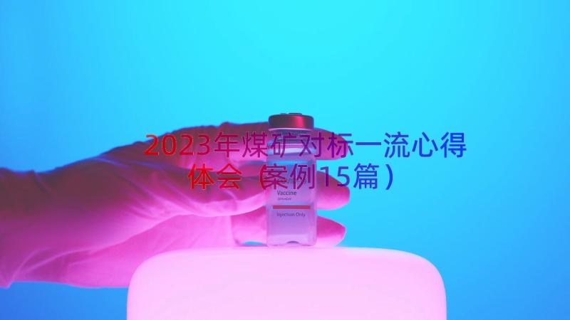 2023年煤矿对标一流心得体会（案例15篇）