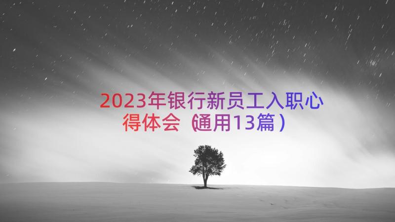 2023年银行新员工入职心得体会（通用13篇）